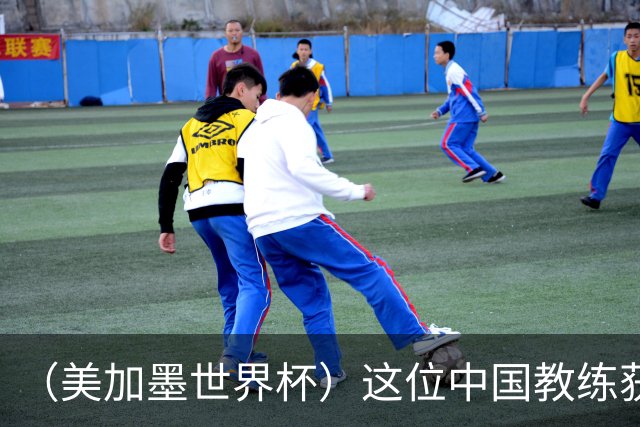 （美加墨世界杯）这位中国教练获得的勋章，与世界杯揭幕战球场同名